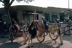 Waiting for customers on a street corner in Herat, these “Gandi” horse-drawn carriages were a welcome alternative to the mainly Russian-built taxis.