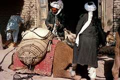 Keeping the camel seated by placing a foot on his leg, it was offloaded.
