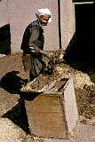 An old man mixes mud and straw in a back alley in Herat. This will be used to repair walls of the adobe or mud-brick houses here.
