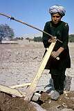 Ploughing a dry field outside Herat, western Afghanistan. The plow is pulled by a team of oxen. Boys have to start working at an early age.