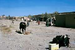 Adraskan, a typical village between Herat and Kandahar.