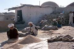 In a courtyard in the village of Farahrud men are winnowing grain, pouring it out to allow the wind to blow the chaff away. It is later sieved, weighed and put into bags.