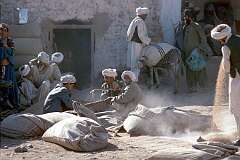 In a courtyard in the village of Farahrud men are trading grain, brought by donkey. A man is winnowing, pouring it out to allow the wind to blow the chaff away. It is sieved, weighed and put into bags.