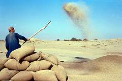 Winnowing grain by throwing it up in the air: the wind will blow the chaff away.