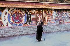 Buddhist paintings and bas-reliefs on the wall at the western side of the Thupsung Dhargye Ling Monastery.