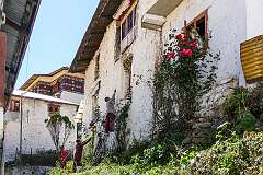 Whitewashing the wall of the monks' quarters inside Tawang Monastery.