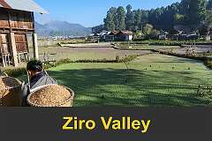 Ziro