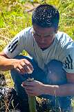 Breaking eggs, letting the contents in a bamboo container to cook it during the ritual.