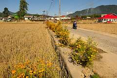 On the corner of the Bulla Village Road and Rake Lembo, looking north.