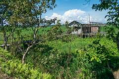 A farmer's house in the fields at Kerela Gaon, Majuli.