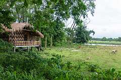 A bamboo house along the water at Kaibortta Gaon, North Lakhimpur, Majuli.