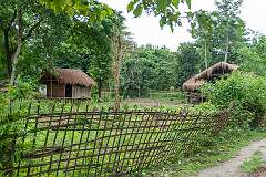 Bamboo houses in the field at Dambukial, North Lakhimpur, near White Sand Beach on Majuli.