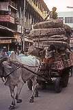 A buffalo cart at a crossroad in Fatehpuri, Chandni Chowk, Old Delhi.
