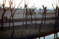 In the Kashmir Valley, near Srinagar, at sunset.