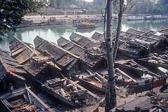 Houseboats along the Jhelum River in Srinagar.