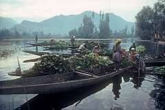 Women traders in the floating market of Srinagar.