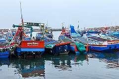 Fishing boats, in the Chellanam Fishing Harbour.