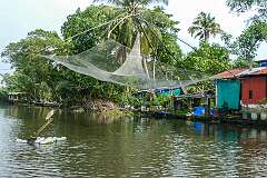 A fishing net on the backwaters, Kodamthuruth.