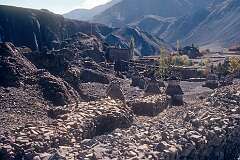 View to Alchi and its monastery.