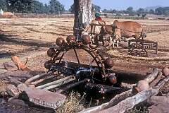 A water mill for irrigating the fields, powered by two oxen