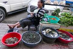Selling frogs, snails and fish on a street market .