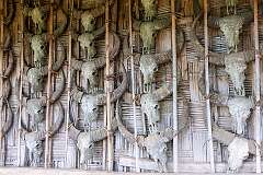 Skulls of mountain goats on the wall of the Angh's house in Sheanghah Chingnyu.