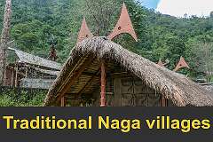 South Nagaland