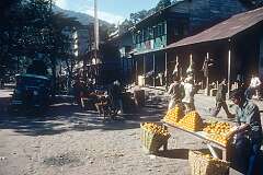 Seller of “suntala”, citrus fruit, along the road in Singtam.