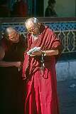 Elderly lamas reading a letter in Rumtek Monastery.