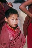 A young Buddhist novice monk in Rumtek.