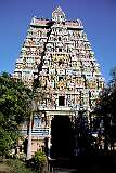 The “gopuram”or tower at the main entrance in an inner courtyard of the Sri Jambukeswarar Temple.