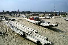 Simple log boats on Marina Beach.