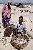 Fishermen with their catch on the beach in Dhanushkodi, on the eastern point of Pamban Island.