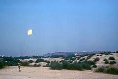 A boy flying a kite, with Agra Fort in the background.