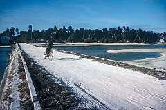 The causeway at Kariatebike, connecting two islets of Abemama atoll.