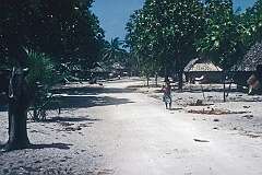 In the village of Kabangaki, in the south of Abemama.