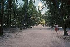 On the road walking south from Taribo to Roreti.