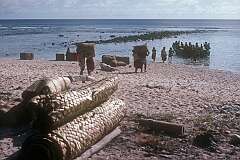 Carrying bags of copra to the beach in Taribo, to be taken by dinghy to the ship “Nei Momi“ anchored offshore.