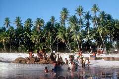 Loading bags of copra to the beach of Taribo.