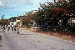 The street in Tabiang (now called Antereen) on Banaba island.
