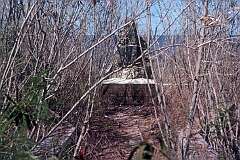 The monument for Sir Albert Ellis, who discovered phosphate deposits on Nauru and Banaba.