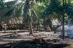 The maneaba and houses in Kuma, the easternmost village on Butaritari atoll.