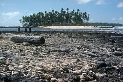 Looking from the islet of Aonbike to the smaller island of Tebua Tarawa, south of Makin island.