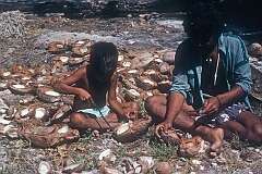 Boys cutting copra from coconuts on Makin island.