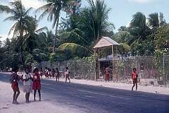 The Dai Nippon Primary School along the road in Betio.