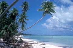 The beach at Antenon in South Tarawa, looking towards Bairiki and Betio.