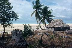 The coast on Abatao, a small islet of North Tarawa, northwest of Buota