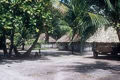 In the village on Tabiteuea, a small islet of North Tarawa.