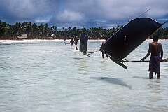Men racing model canoes in the lagoon of Tabiteuea.