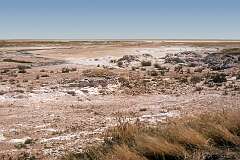 The Etosha pan, a large salt pan, forming part of the Kalahari Basin in the north of Namibia, protected as Etosha National Park.
